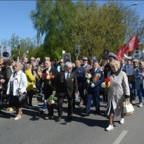 �� ������ ������ ������ ����������� ���� (����)