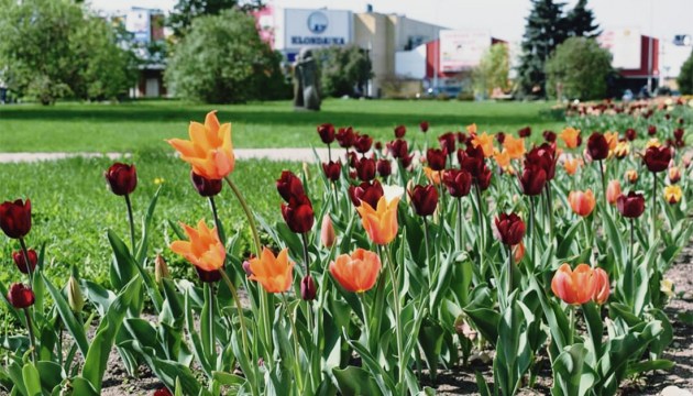 ����� � ����� ������� � ������� �������!�