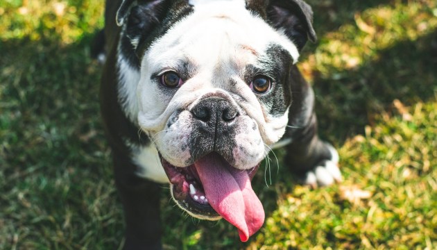 � ������� ����� �����, �� �������