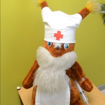 ���� ������: ���������� ��������� ������ ����� ���� (�����)