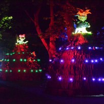 ���� ������: ���������� ��������� ������ ����� ���� (�����)