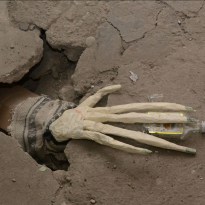 ���� ������: ���������� ��������� ������ ����� ���� (�����)