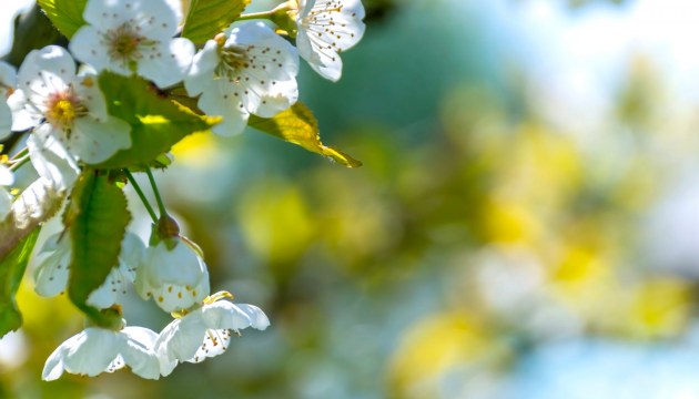 � ����� � ������ ���������� ������ ������