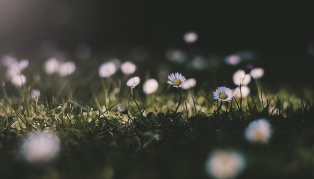 � ������� ������ ���������� �� +20 ��������