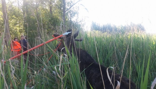 ���� �������������� ������������ ��������