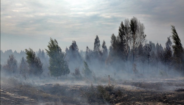 ������ ������ ���� ���������� ������ ���������� �������