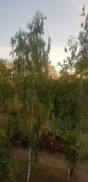 ��������: ����� �� ���������