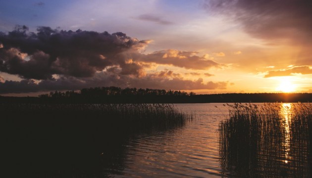 �� ����� ������� ����