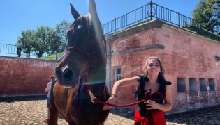 �������. ��������. (����)