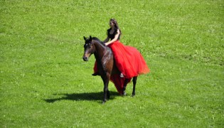 �������. ��������. (����)