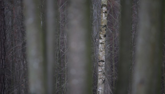 ������� ���� ���������� ��������� � ���� ������ ���������