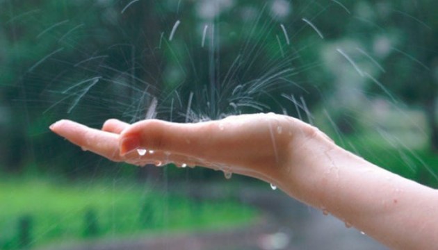 ���������: ������ 40 ���� ���������, ������ ����� ����� � ����