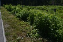 ��������� ������? ����������� ���