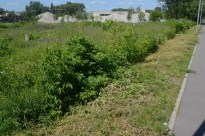 ��������� ������? ����������� ���