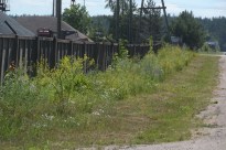 ��������� ������? ����������� ���