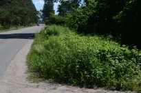 ��������� ������? ����������� ���