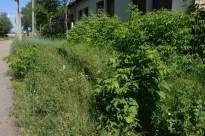 ��������� ������? ����������� ���