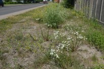 ��������� ������? ����������� ���