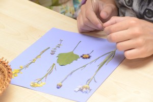 ���� ����� � �������������� ����� (����)