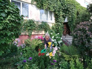 �������� ����� ���������� � ��������� �����