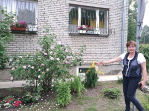 �������� ����� ���������� � ��������� �����