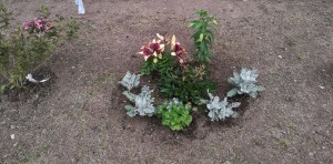 �������� ����� ���������� � ��������� �����