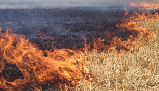 � �������� ������� ������� ����� 2 �� ������