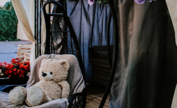 ������� Yoggi Bear �������� ���������� �� ��������� �������� �����