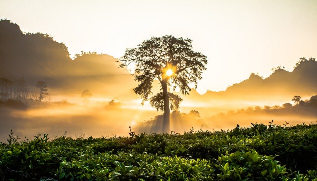 ����� ������ ����� ��������� � ������