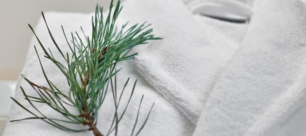 SPAVILNIUS: �����, ����������� ������