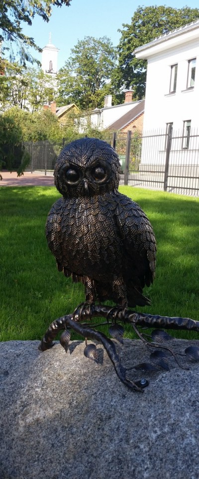 ������: ��� ������� ����