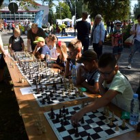 ������� �������� ������ � ��������� ���� ����