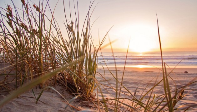 ���� ��� ������ ��� ���������� � ��������� �����