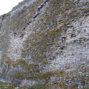 ����� � ���������: ������������ �������������� ���� ����������� ��� ��������