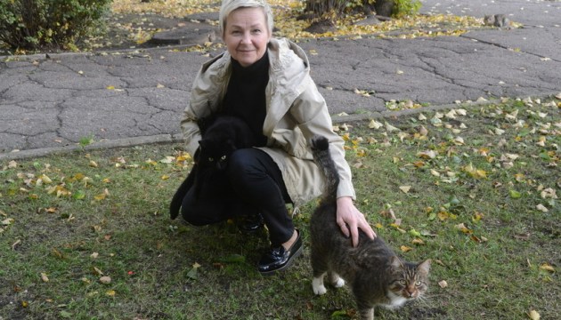 «Двери в подвале забивают гвоздями, поливают кошачьи домики уксусом... Почему люди так жестоки?»