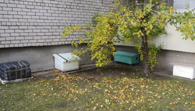 «Двери в подвале забивают гвоздями, поливают кошачьи домики уксусом... Почему люди так жестоки?»