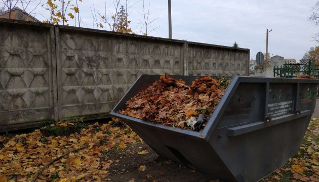 На всю опавшую листву не хватает контейнеров