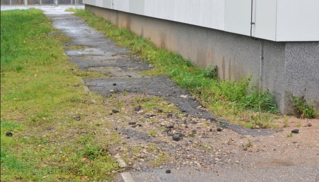 �������� �� �������������� ������ ��������, ��.�