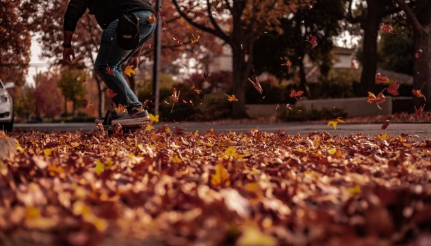 � ������ ������ ������