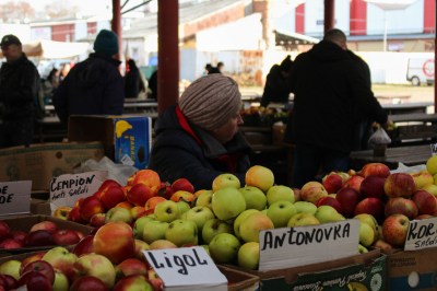 ����� ��������������� ����� (������������)