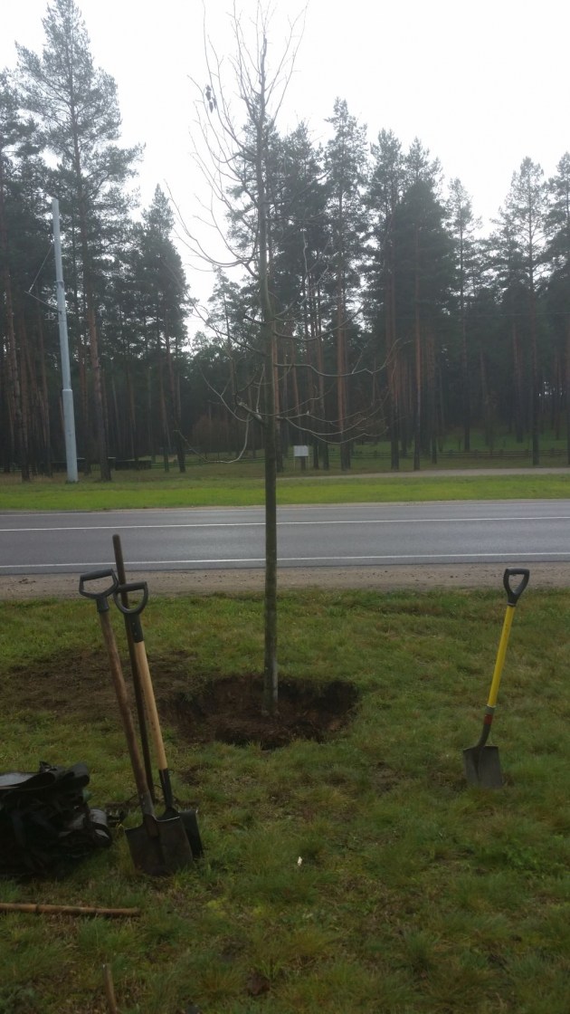 ��� �����: �� ���� ������ �� ���� ������������ ������?�