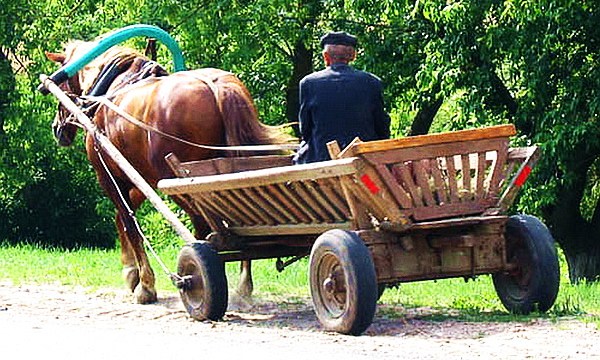 �����, � ������!