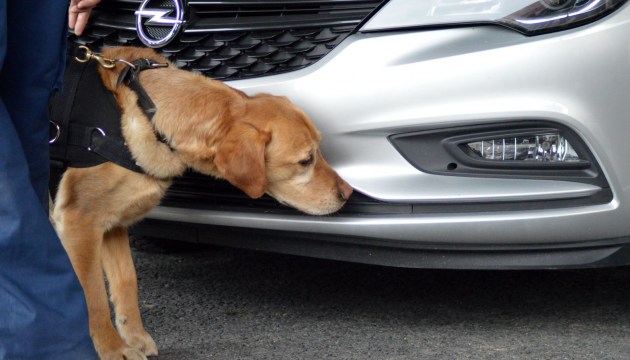 ��������� ���������� ������� �� ������� �����������