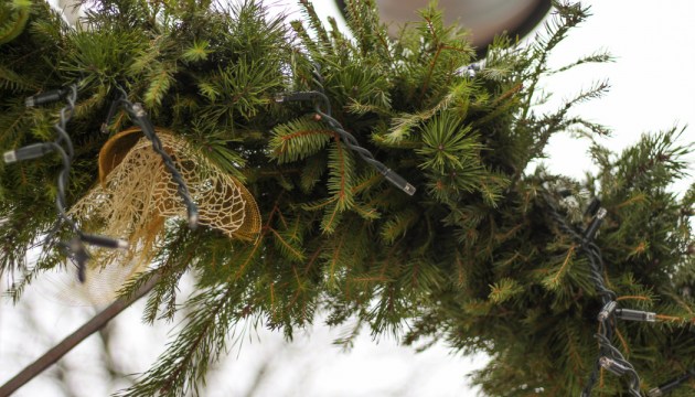 ���� ����� �� �������� ������ ����������: ������� ����� � ���������-���������� �� �������, � ����� � ������