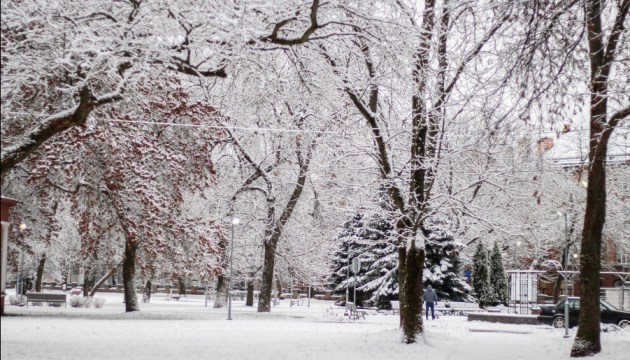 ���� ����� �� �������� ������ ����������: ������� ����� � ���������-���������� �� �������, � ����� � ������