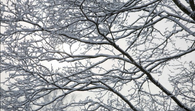 ���������� ����������: ��� ���������� ���������� ����?