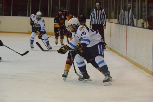 ���������: 6 ����� � ����� � 300 ����