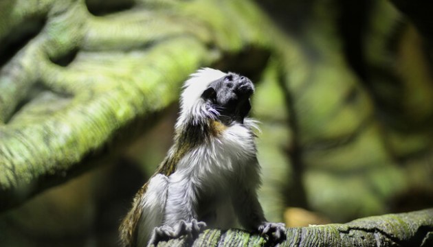 ����������� ������ ����� ���� � ����� (������������)