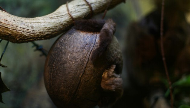 ����������� ������ ����� ���� � ����� (������������)