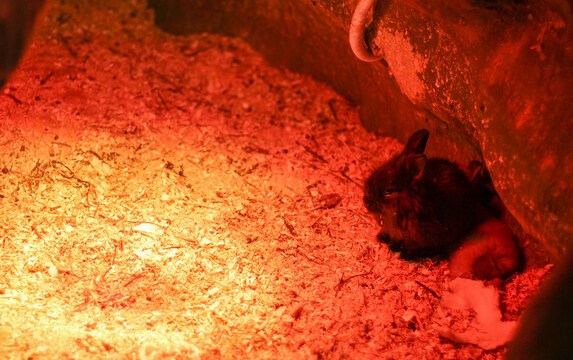 ����������� ������ ����� ���� � ����� (������������)